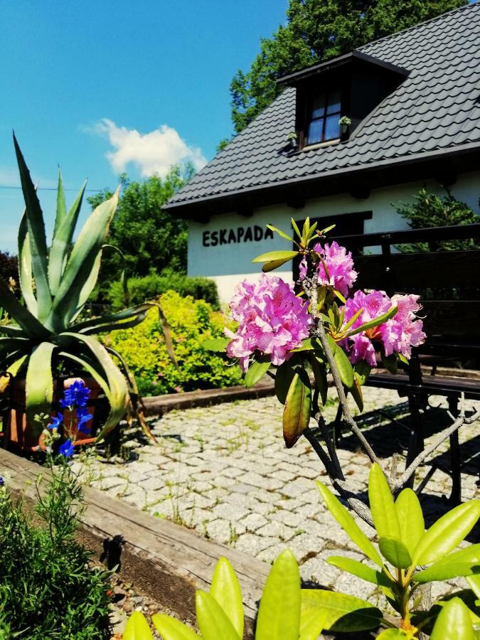 Eskapada Stronie Śląskie